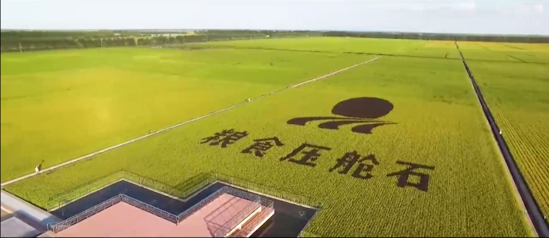 北大荒集团宣传片 宣传视频宣传短片—上海虎置宣传片